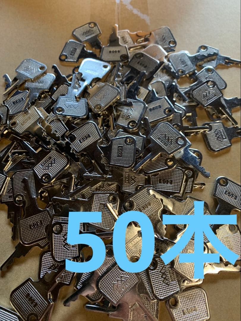 ユニバーサル　ミズホ　エレコ　602 設定キー　50本