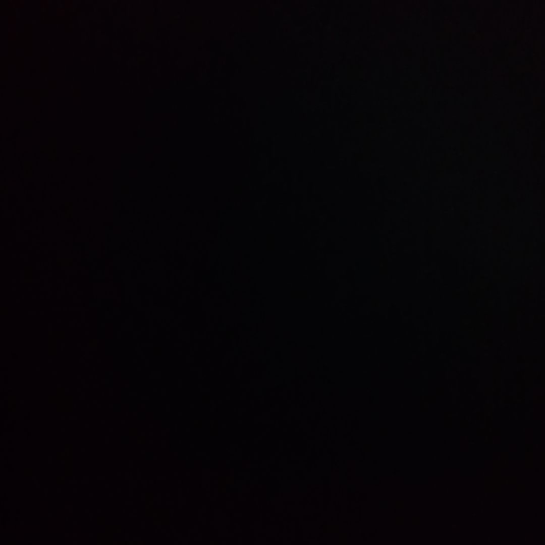 ララパーム2本きいこ様