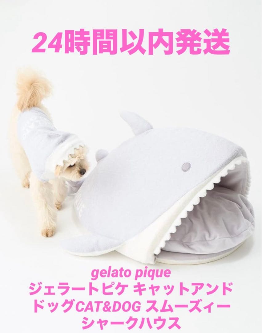 ジェラートピケ キャットアンドドッグ　CAT&DOG スムーズィーシャークハウス