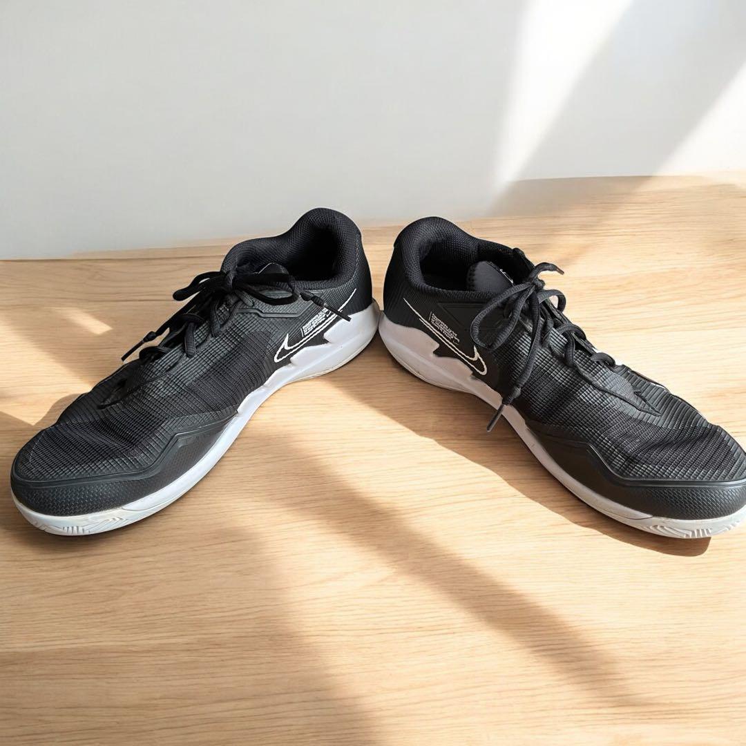 恐竜　ナイキ　テニスシューズ　ズームヴェイパープロ　クレー　オムニ