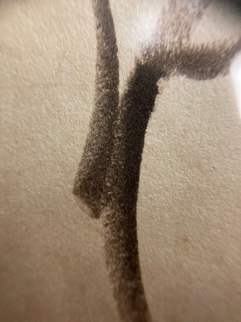 イ*ン様 石ノ森章太郎★ジュン　色紙　手書き　額装　真贋不明