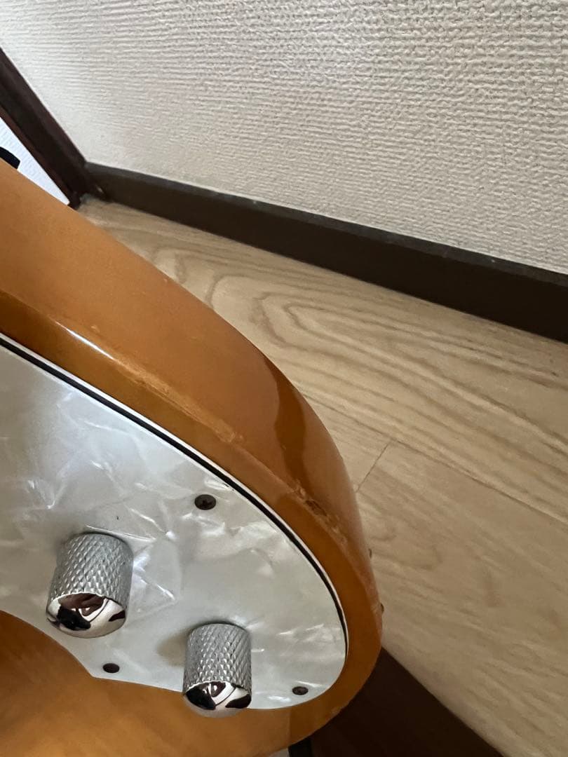 ARIA Pro2 backaroo テレキャスターシンライン