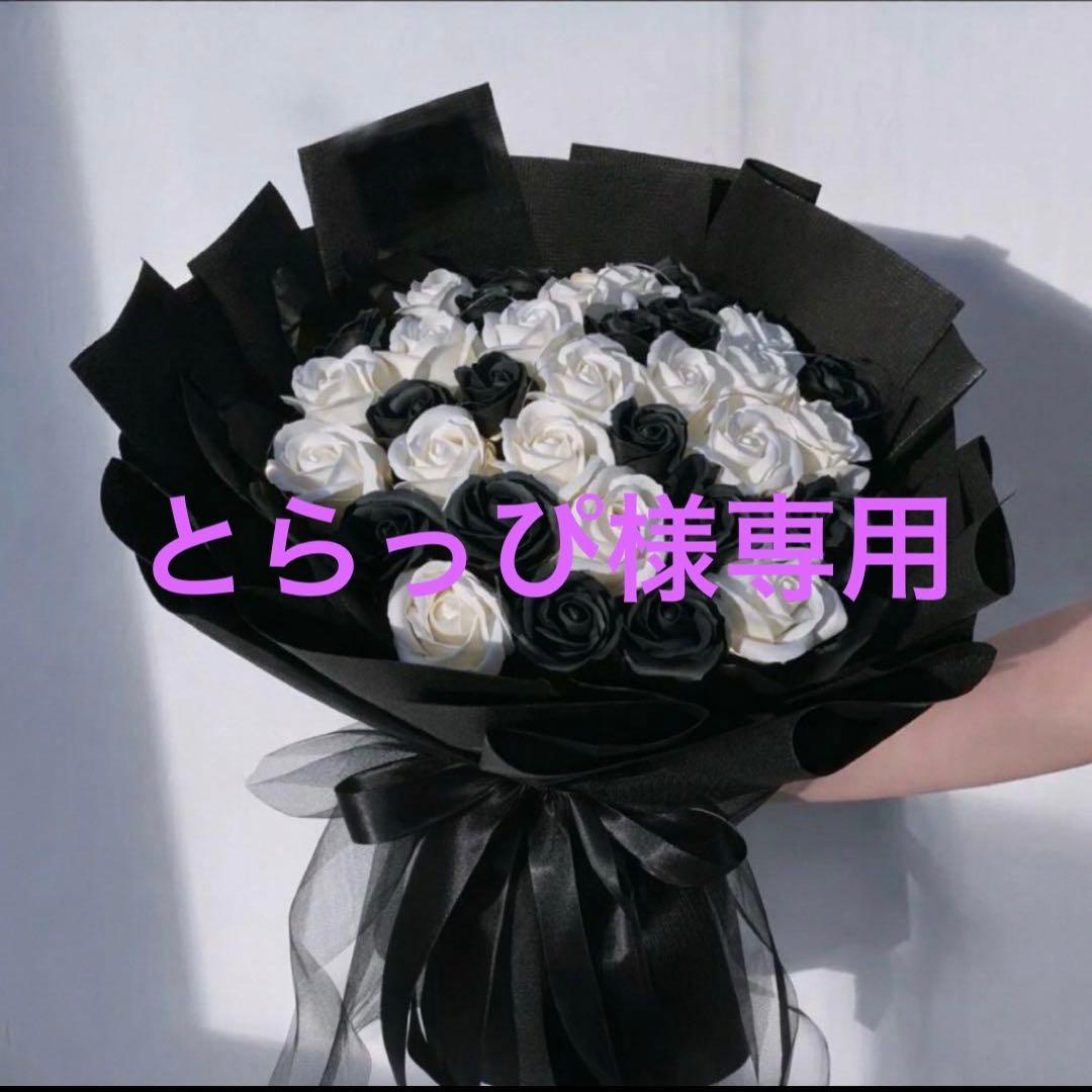 とらっぴ　33本