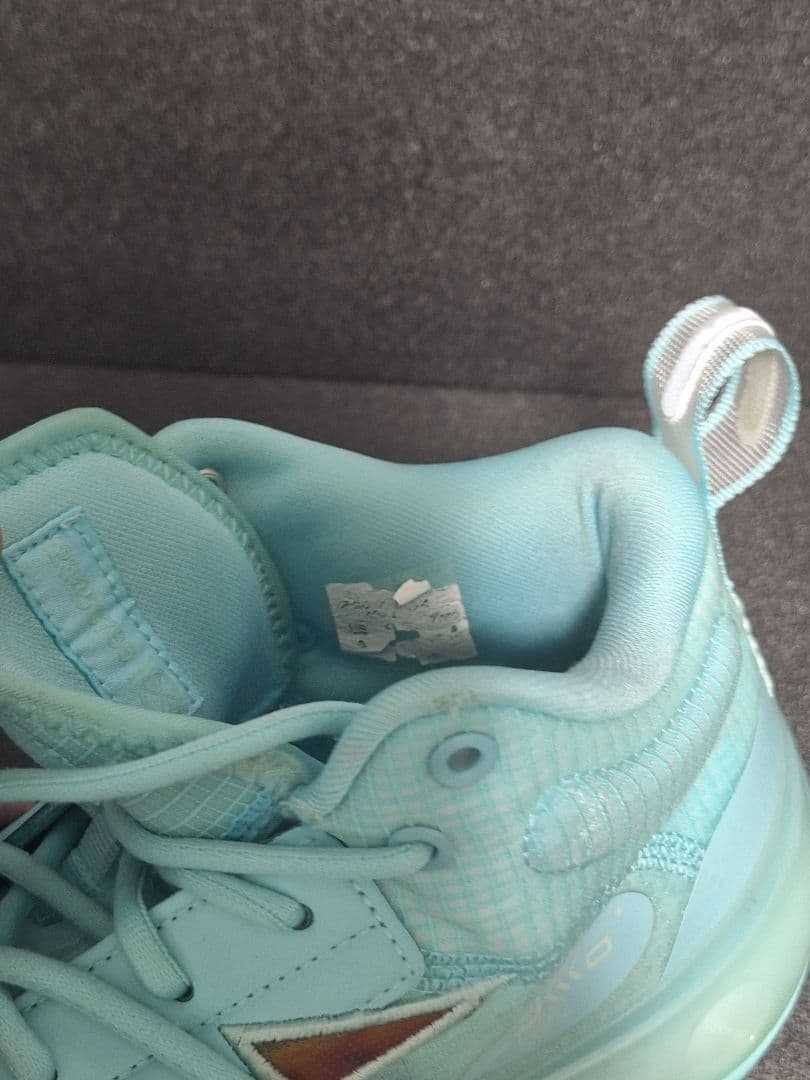 リーニン wayofwaed10 26.5箱あり