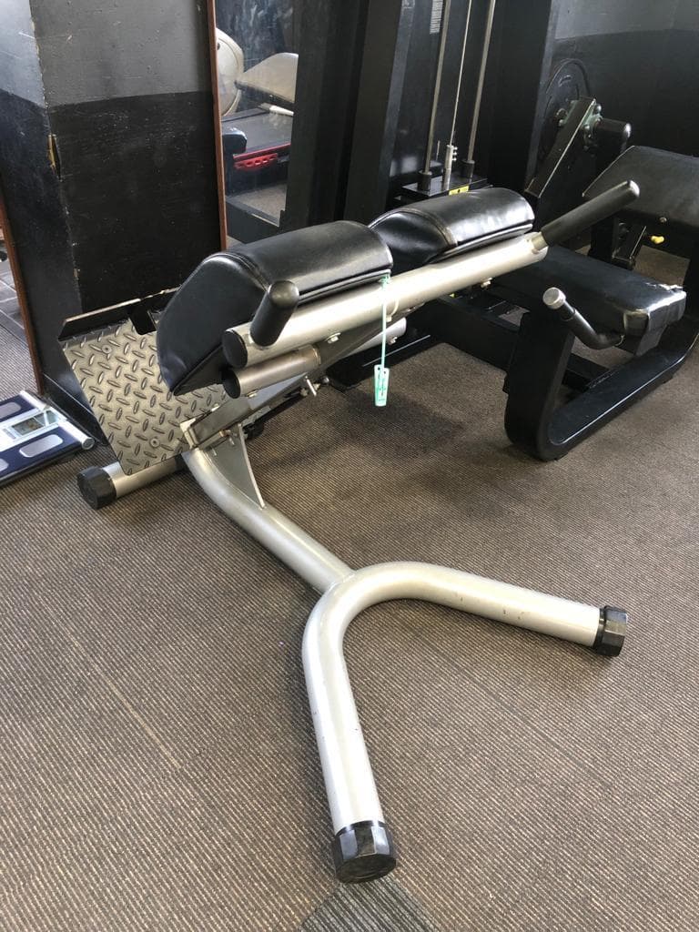 ウエイトトレーニング Back Extension