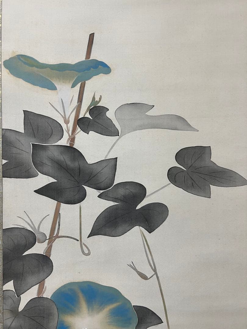 掛け軸　日本画 安田靫彦［朝顔］絹本　木箱！