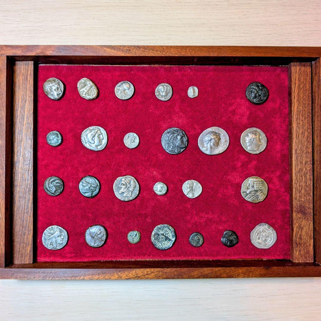 TKC129 カルタゴのタニトと馬