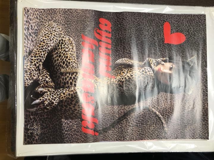 激レア 浜崎あゆみポスター 猫娘 ファン必見！
