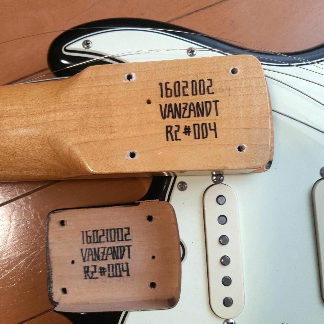 Vanzandt STV-R2 マダガスカルローズ指板！