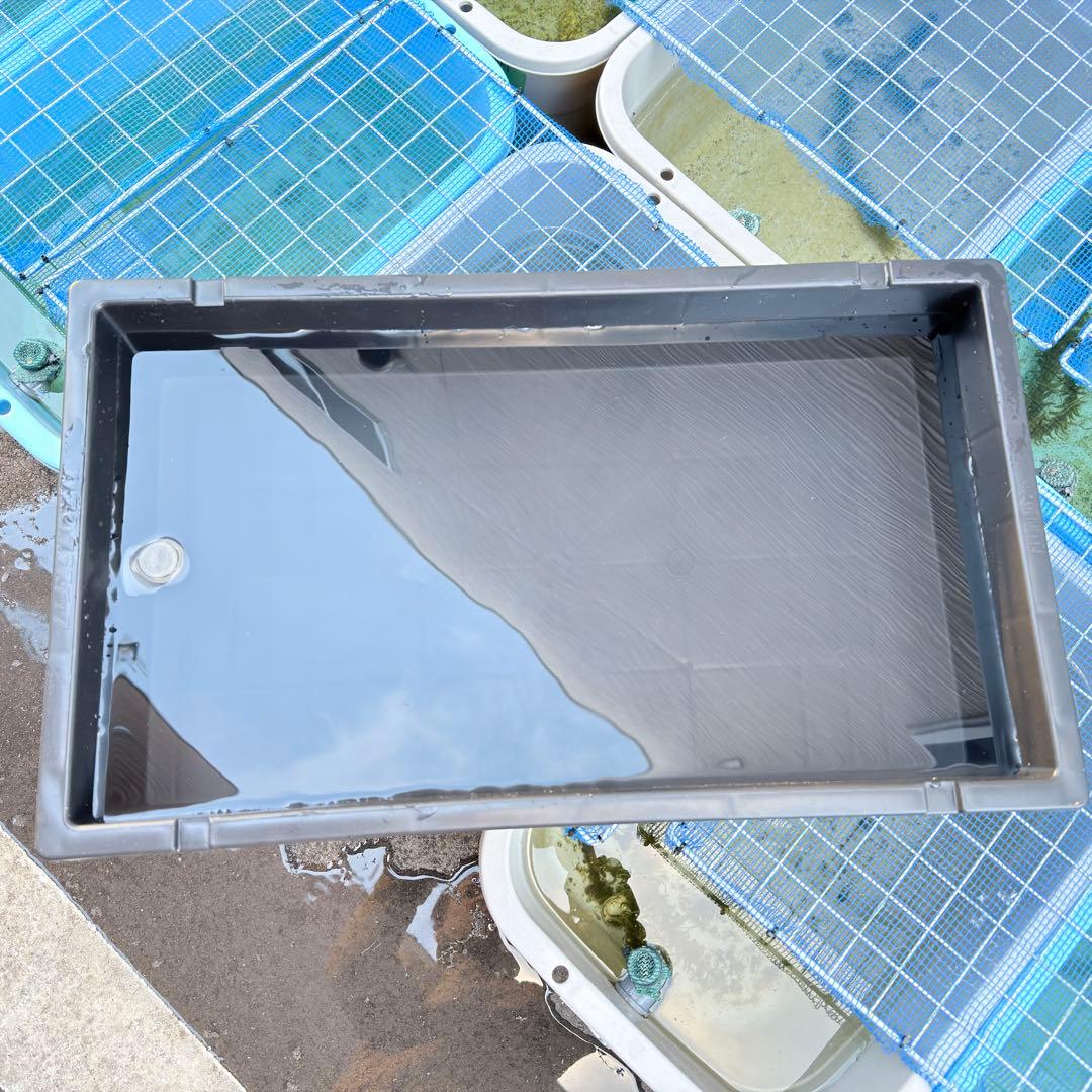 メダカ容器 くろ舟 23L オーバーフロー 5個 Wパッキン 雨対策 高耐久