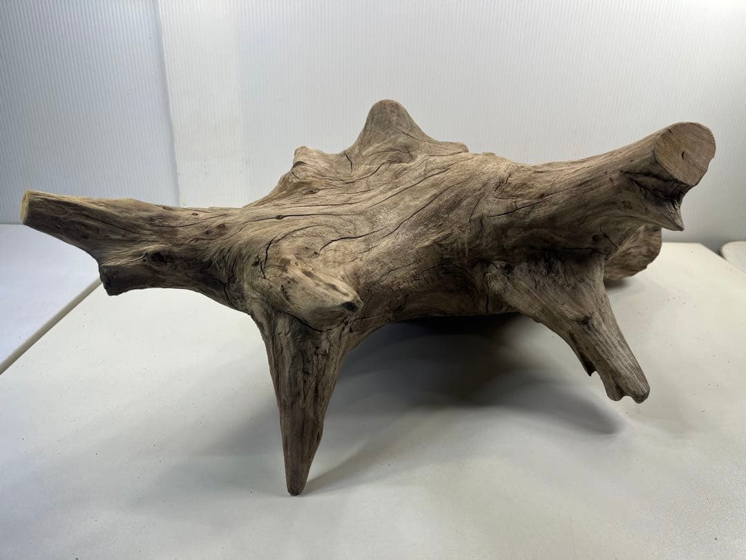 V68特大流木 アク抜き済み流木 爬虫類シェルター 登り木 インテリア 生け花