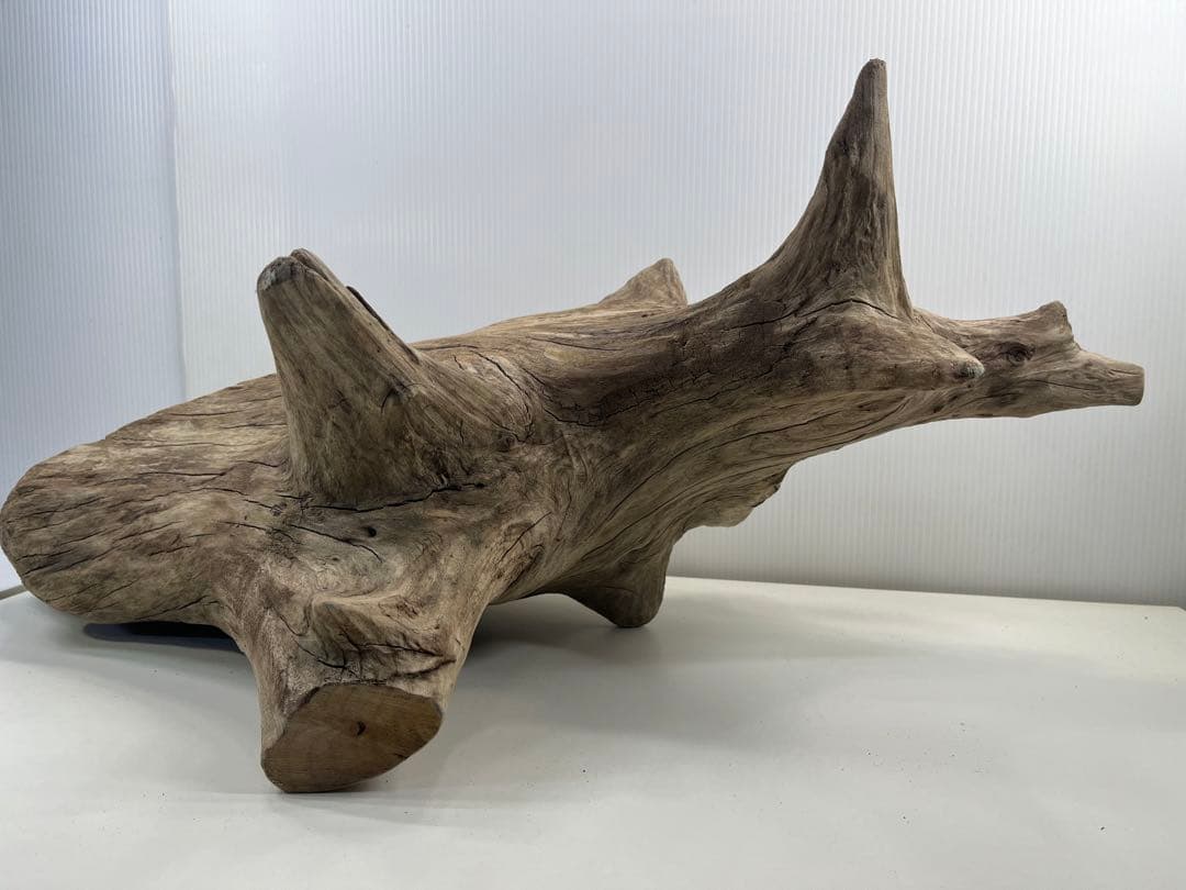 V68特大流木 アク抜き済み流木 爬虫類シェルター 登り木 インテリア 生け花