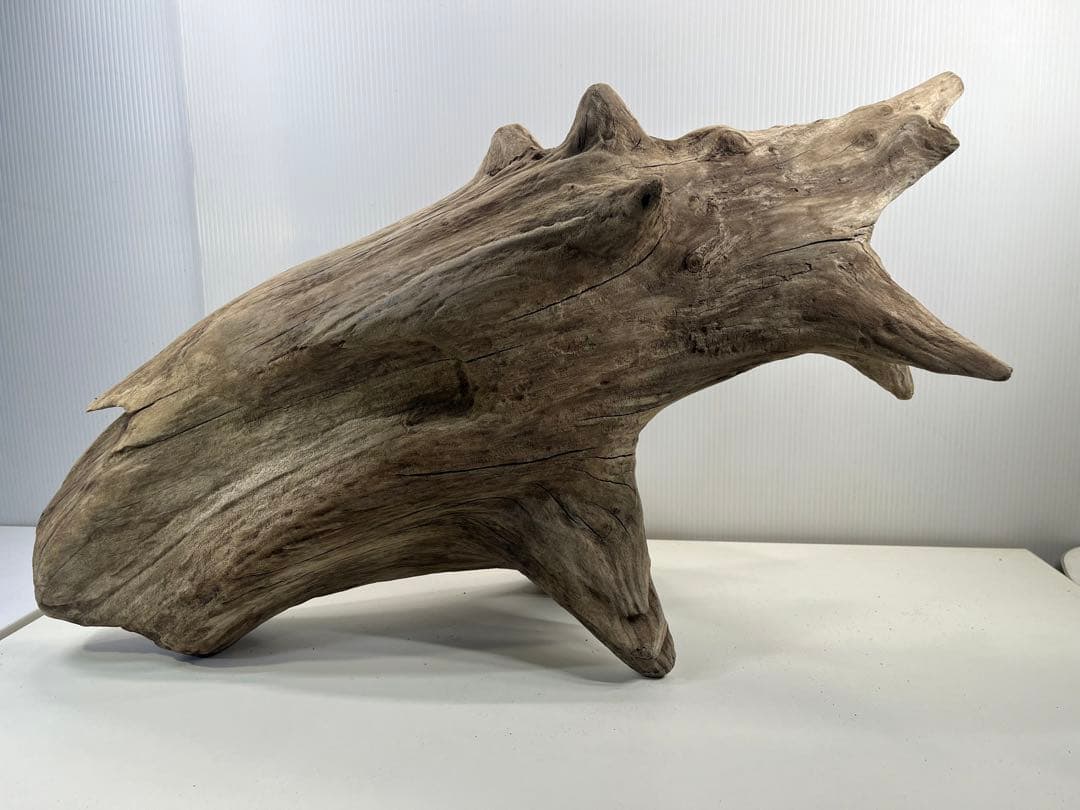 V68特大流木 アク抜き済み流木 爬虫類シェルター 登り木 インテリア 生け花