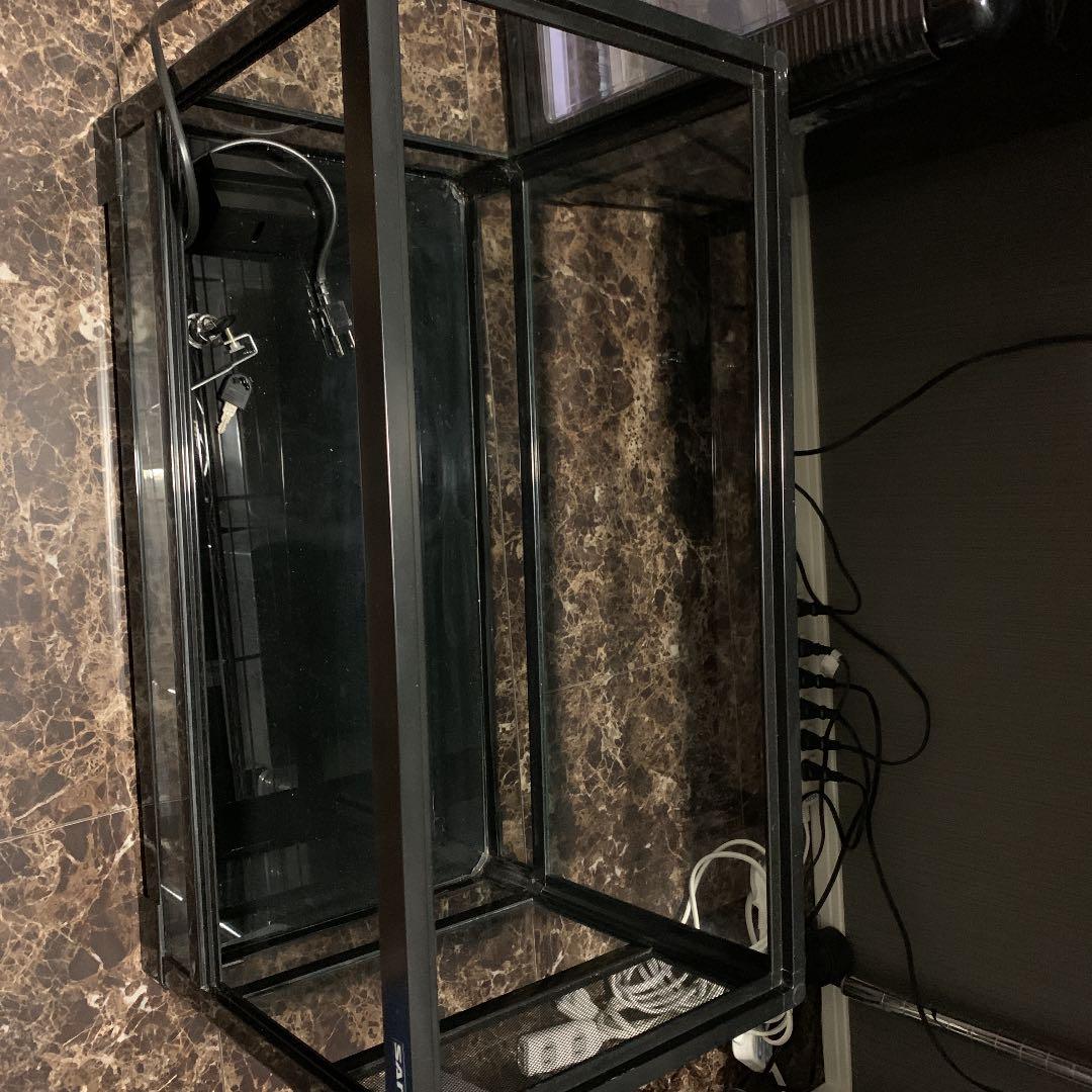 三晃商会　サンコー　 パンテオン  ダントツ