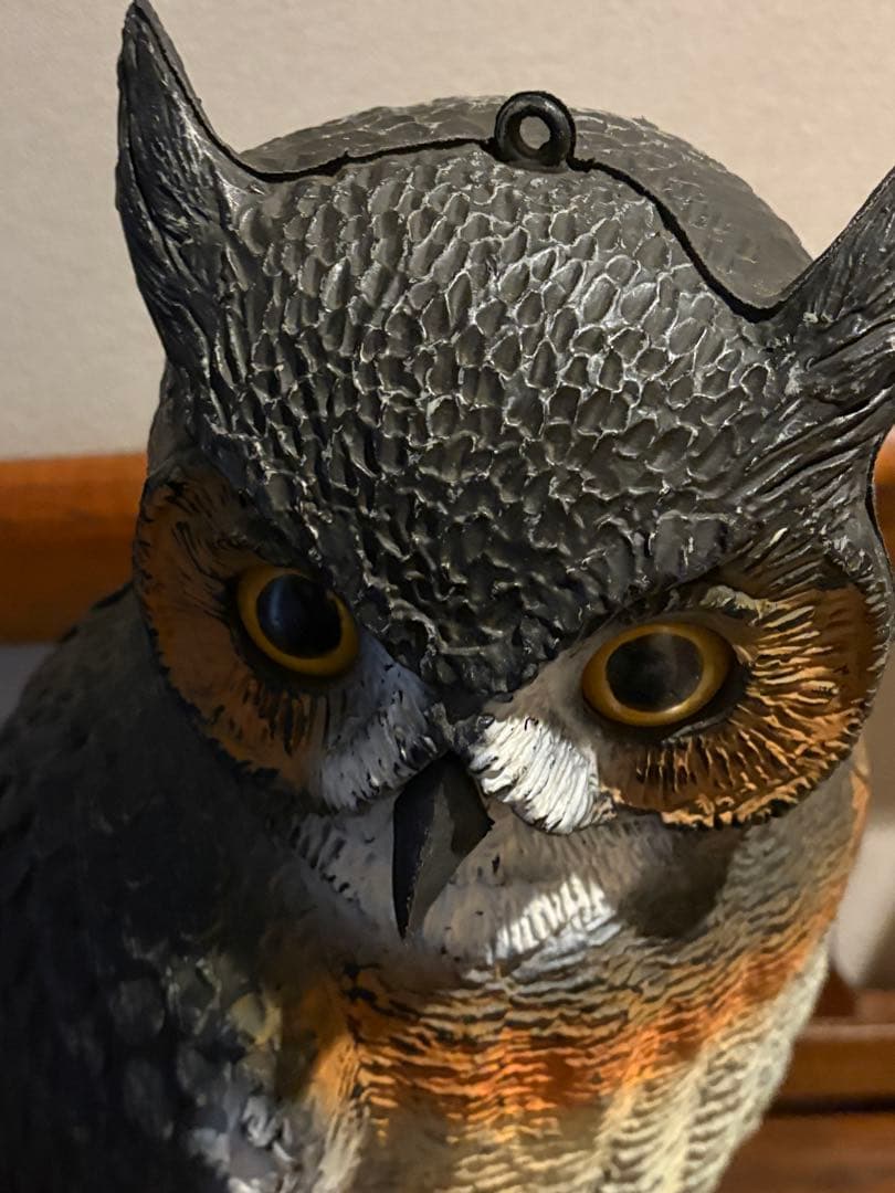 フクロウ・カラス(3)デコイセット