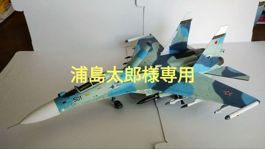 プラモデル完成機　1/48　Su-30MK フランカー