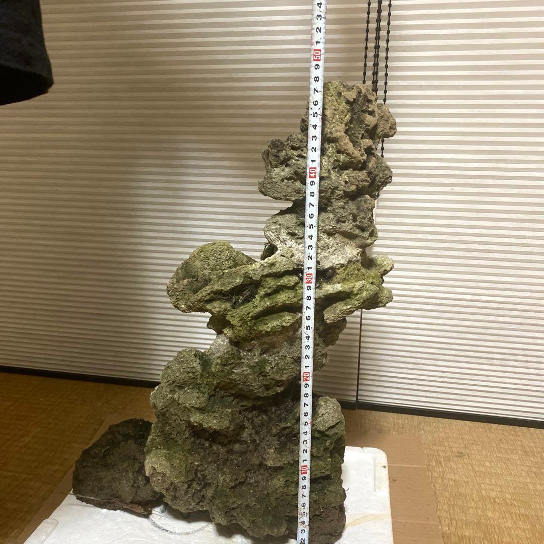 【美形】軽石　岩石　水槽　装飾 アクアリウム　NO3