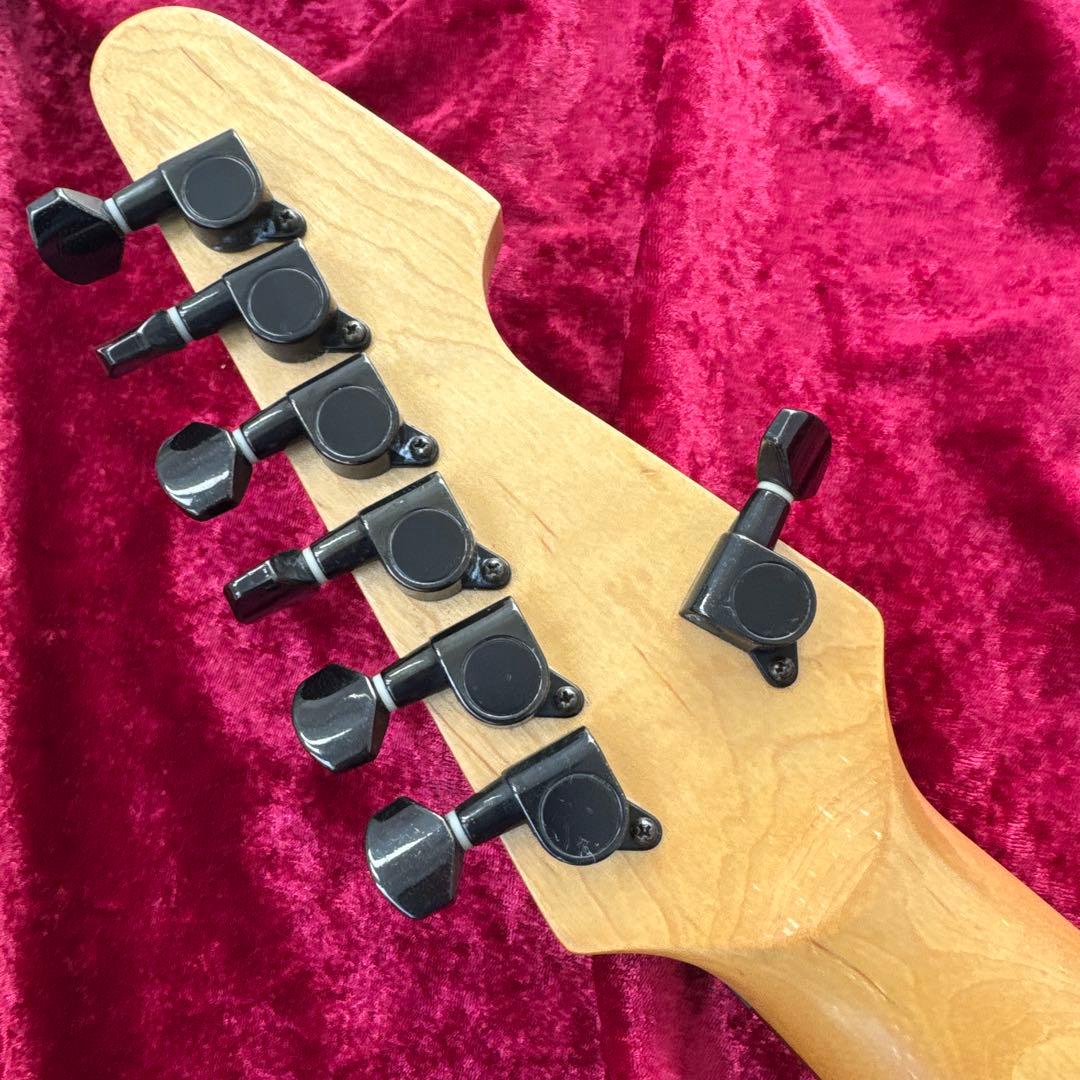 美品 メンテ済 Progauge by SCHECTER PS-600AV