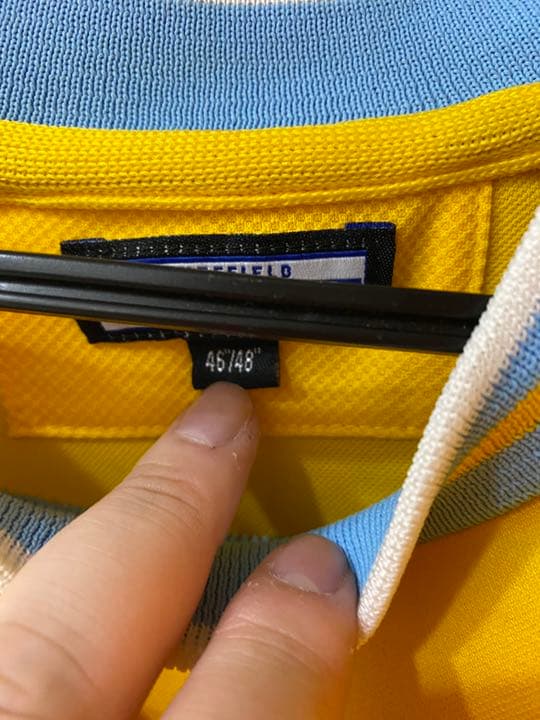 シェフィールド　ウェンディズニ