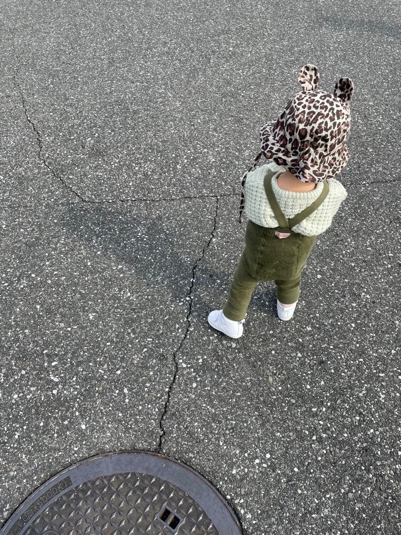 silly silas シリーサイラス　8本セット