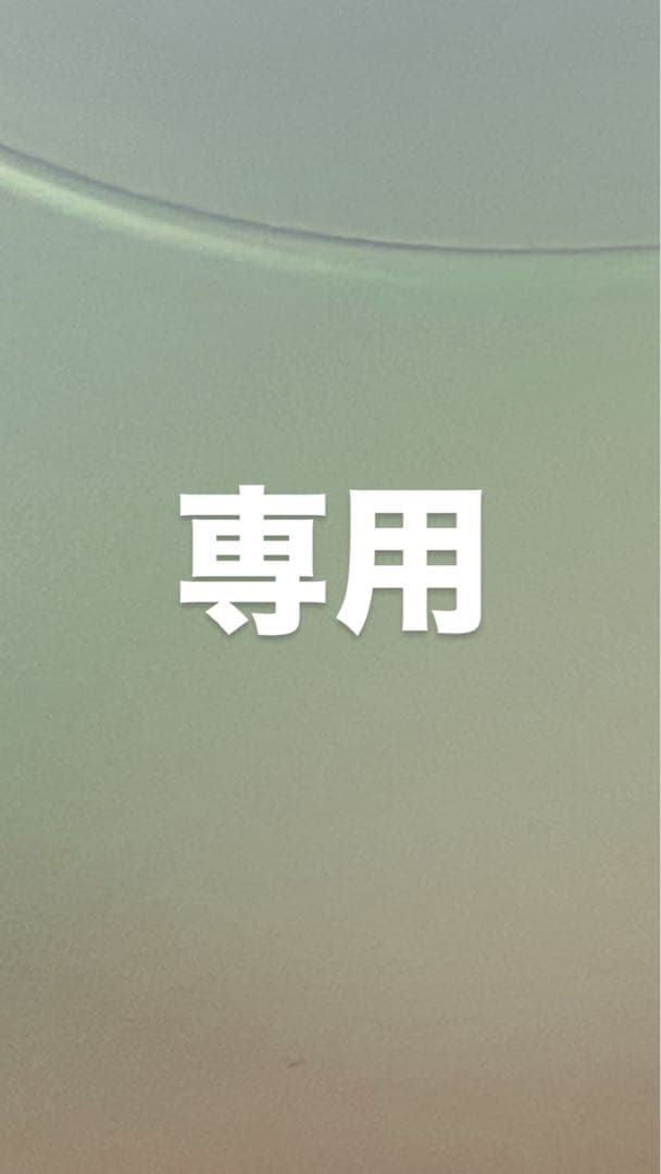 ⭐︎とろちゃんさま専用　KOSHIN 工進 インバーター発電機 GV-9i