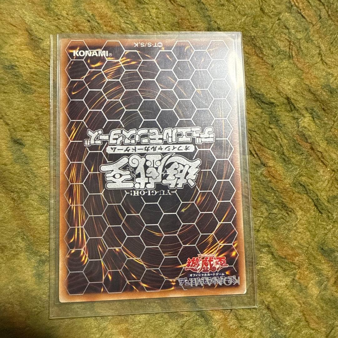 レッドアイズドラゴン シク