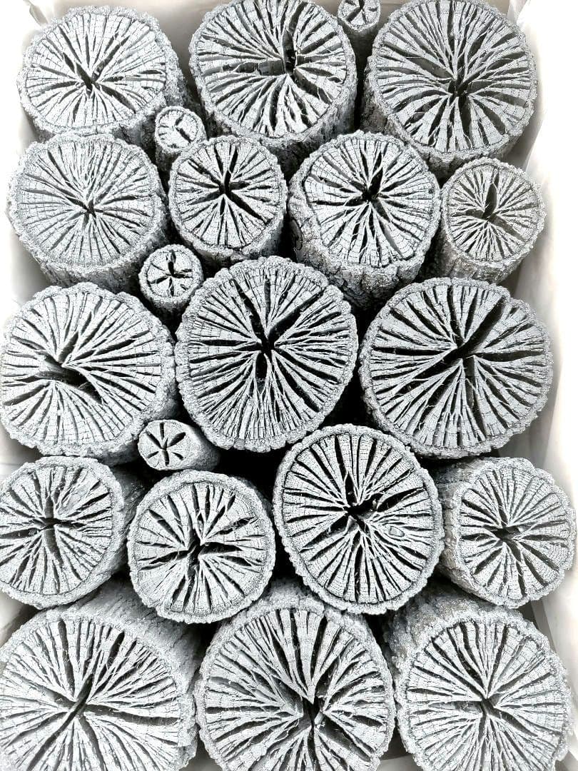 たーちん①【 伊予の切炭 】太め菊炭特選×2箱