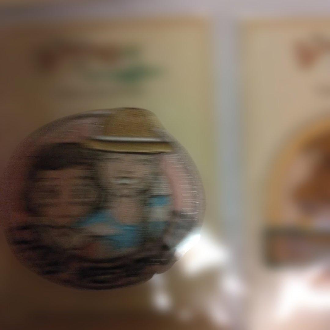 ジブリがいっぱいコレクション 刺繍 ワッペン 新品未開封品