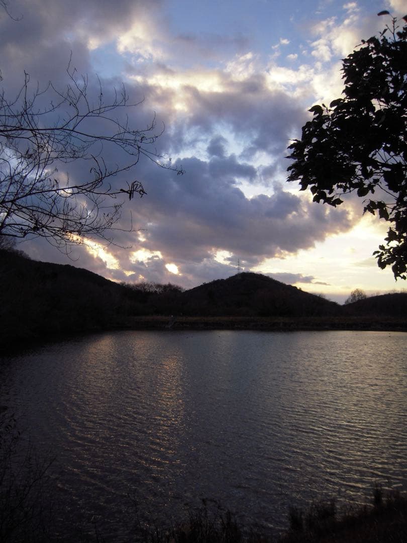 動作確認済み Nikon COOLPIX S600 デジタルカメラ