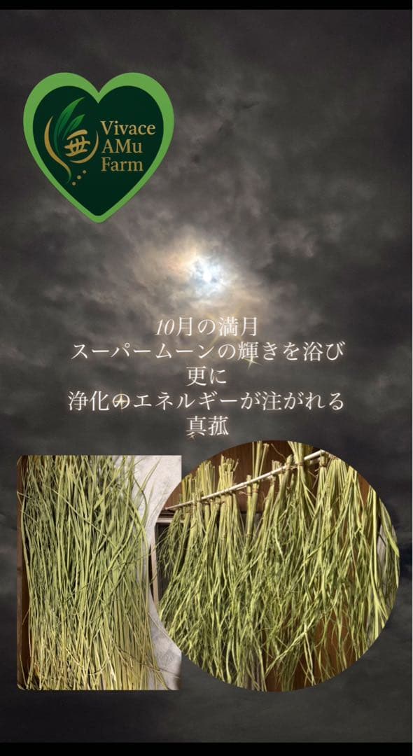 Vivace Amu Farm ボディソープ