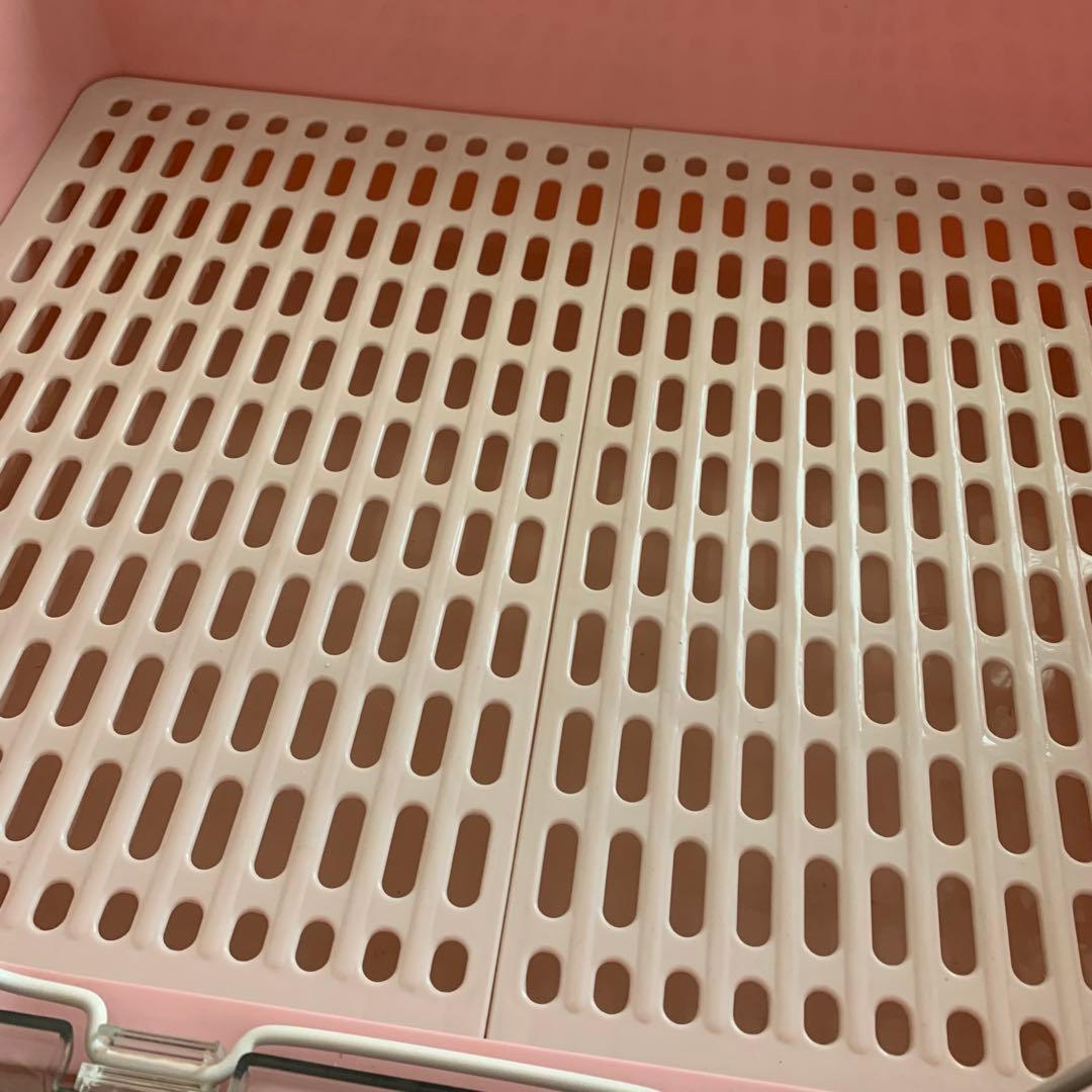 マルカン ゲージ うさぎ ピンク