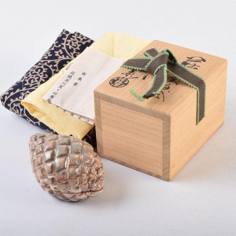 茶道具　萩焼　十三代　田原陶兵衛造　松実香合　共布共箱　V　8997