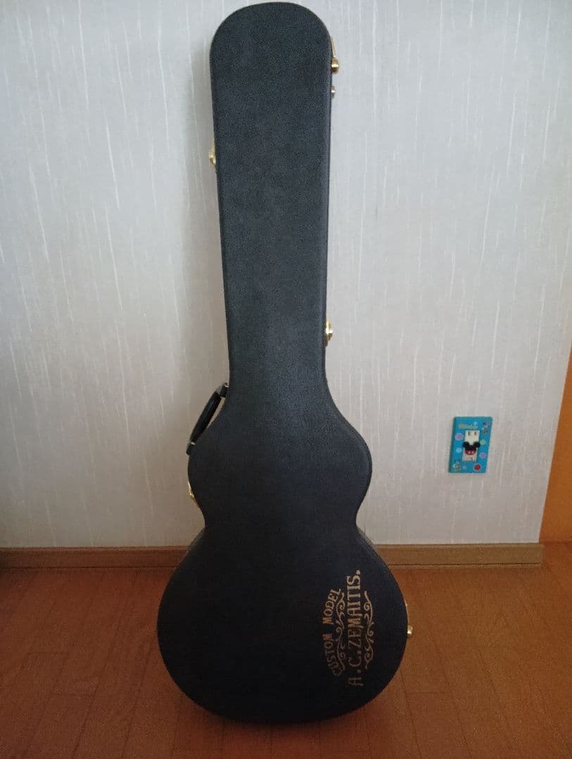 ゼマイティスA24SU NATURAL PEARL 純正ハードケース付き