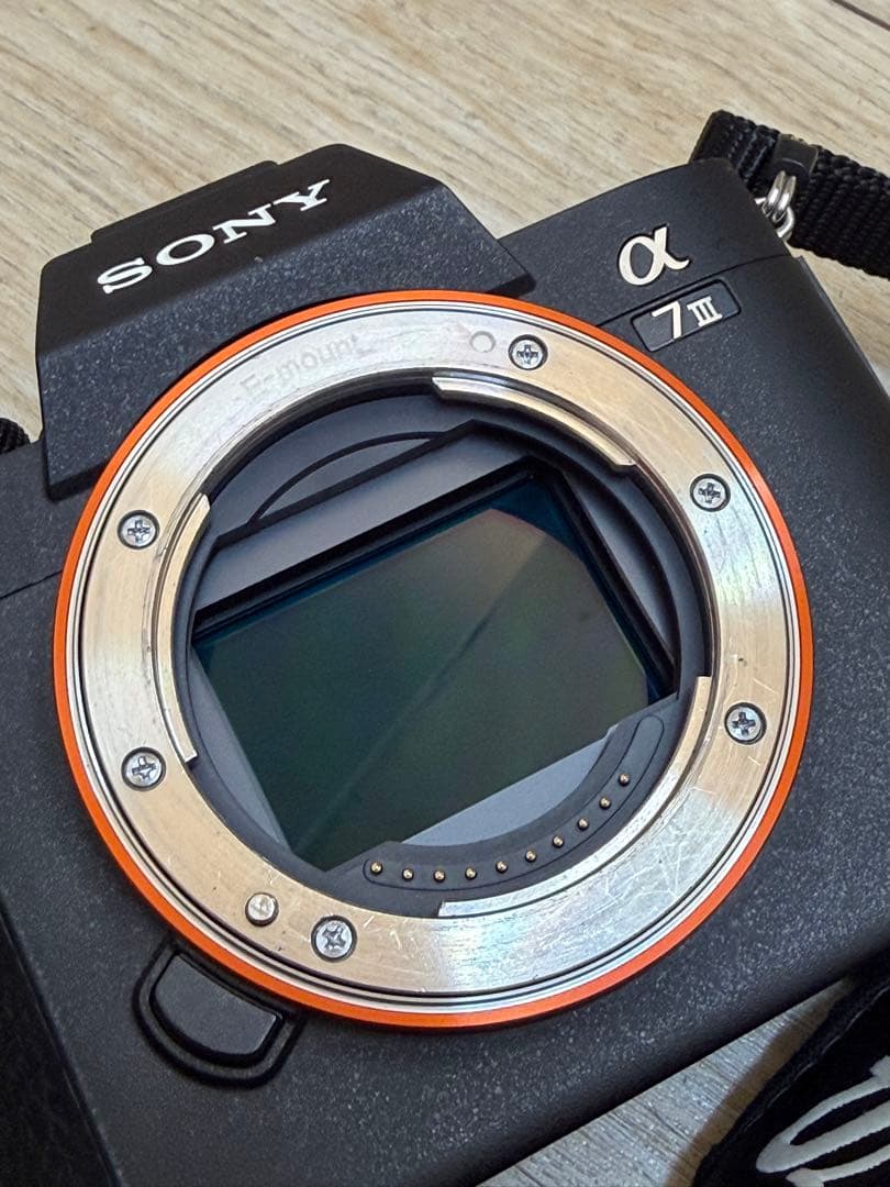 BambiSONY α7III ILCE-7M3、TAMRON 28-75