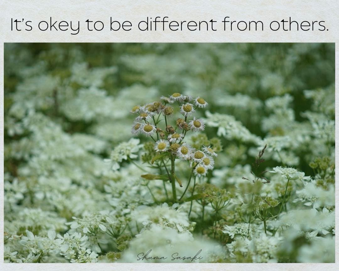 自然・風景写真 花のアート　A3 額装済み　作品プリント