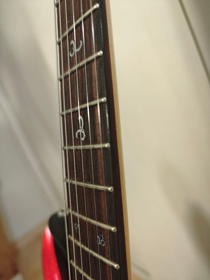 G-Life Guitars DSG Life-ALD中古品