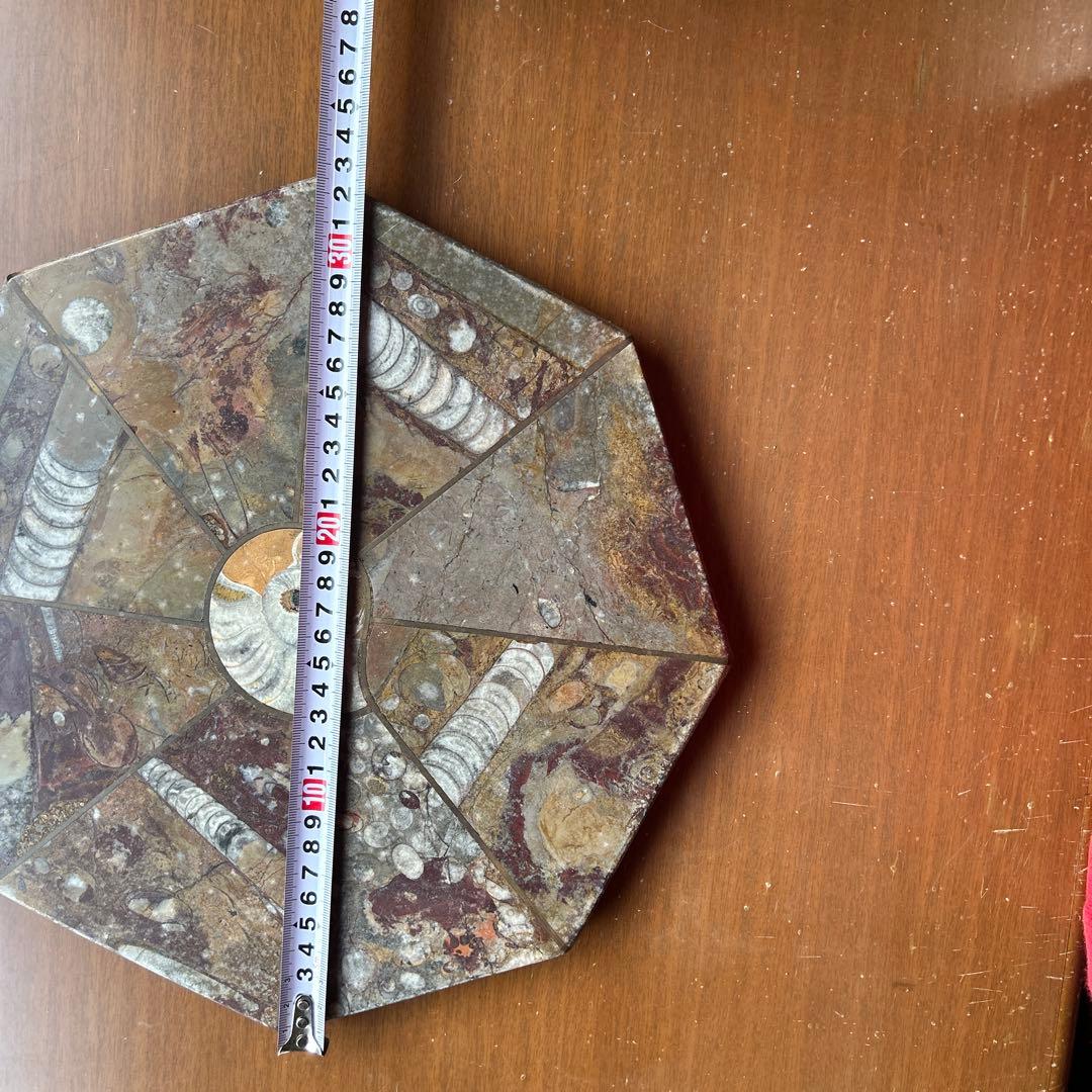 レア　アンモナイト　化石　八角形石製置物 約32.5cm