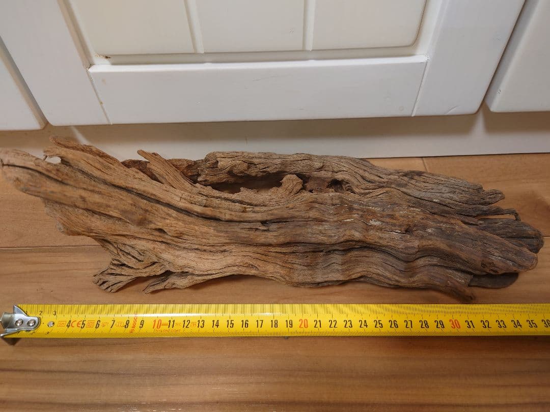 水槽用流木 自然な形状 約30cm〜50cm