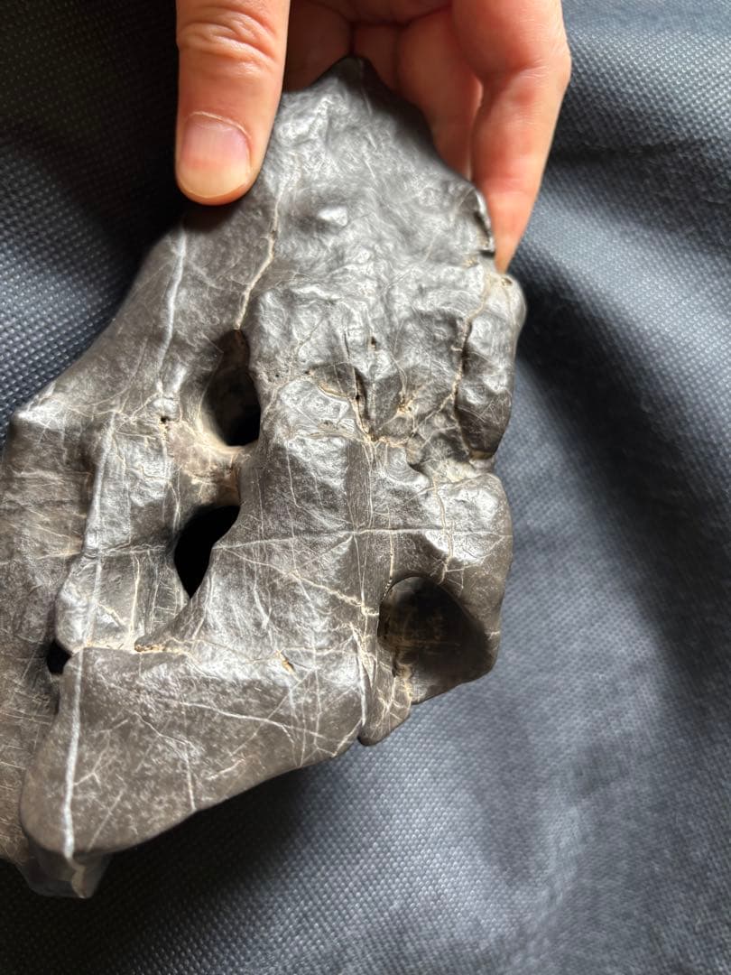 中国　天然　鑑賞　石　痩透漏　18✖︎10cm