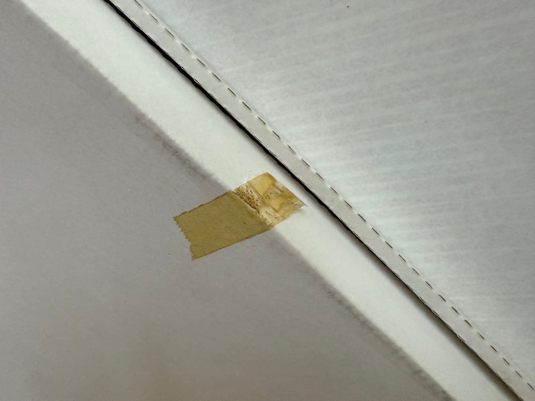 Elijah Wood 直筆サイン ロード・オブ・ザ・リング フロド 証明書あり