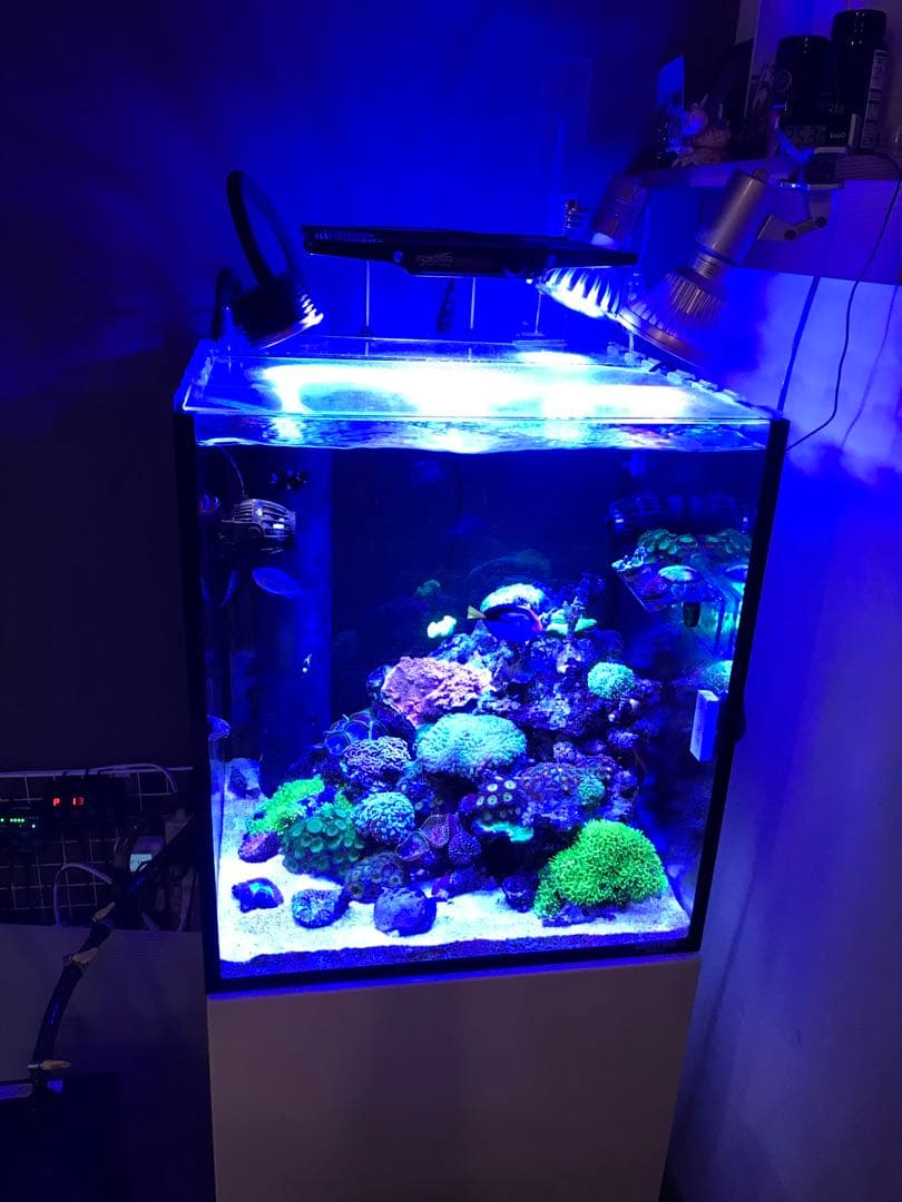 水槽用LED照明 maxspect R420R Nano