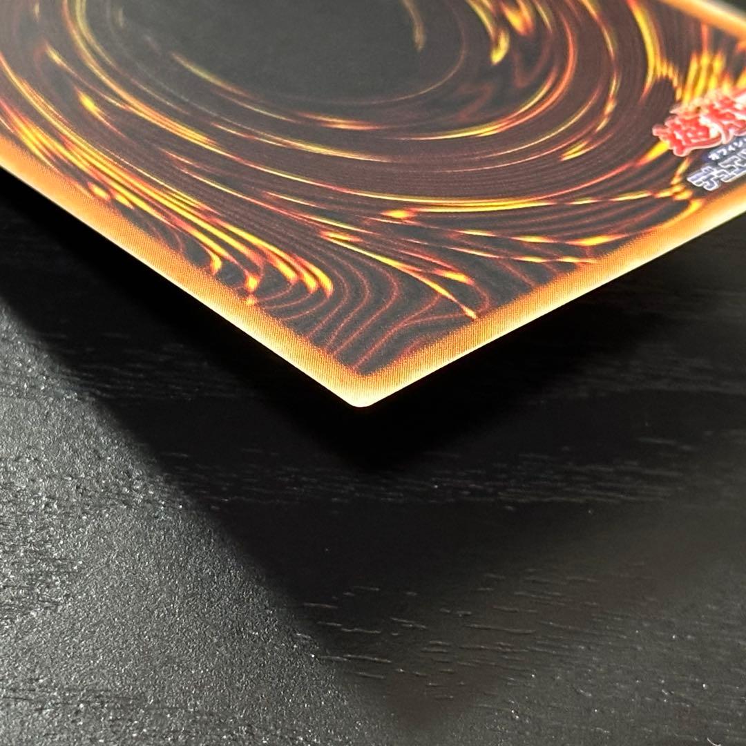 遊戯王 ブラックパラディン レリーフ