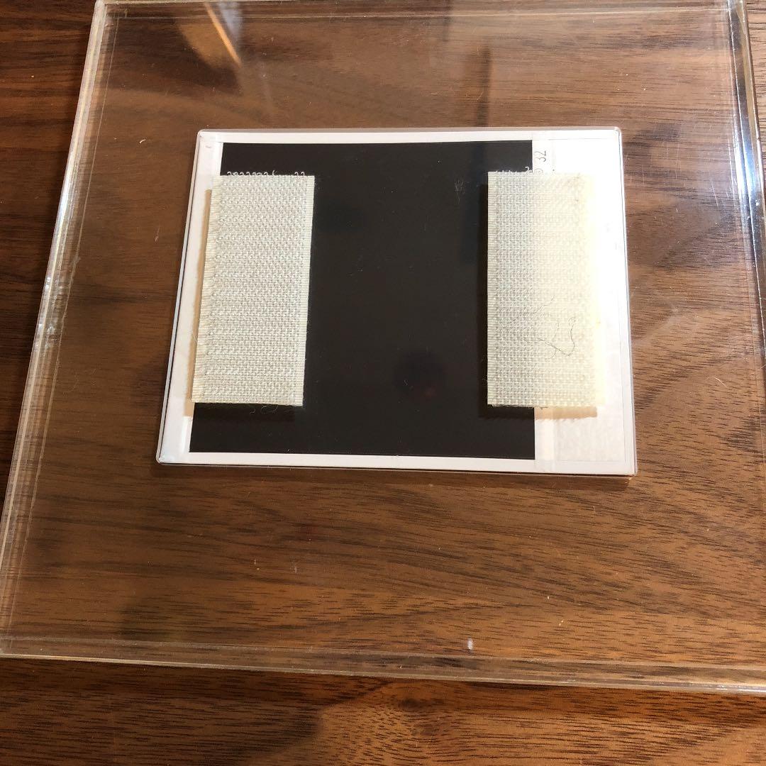 ヴィンセント ギャロ ドローイングポラ