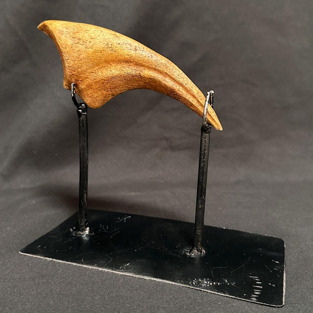 スピノサウルス ハンドクロウ かぎ爪 化石標本 肉食恐竜 獣脚類 1433