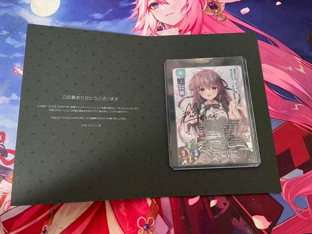 aaaaaaaaaaさん専用