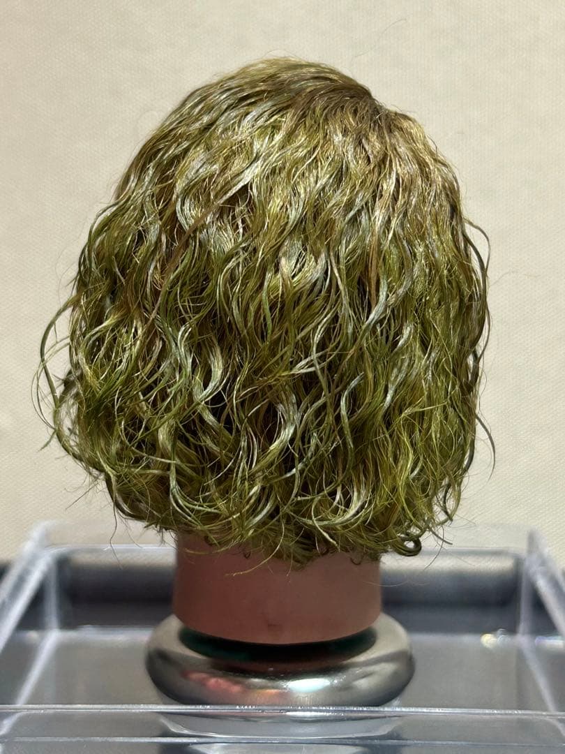 1/6 カスタム植毛ヘッド ダークナイト　ジョーカー 宴会2.0Ver.