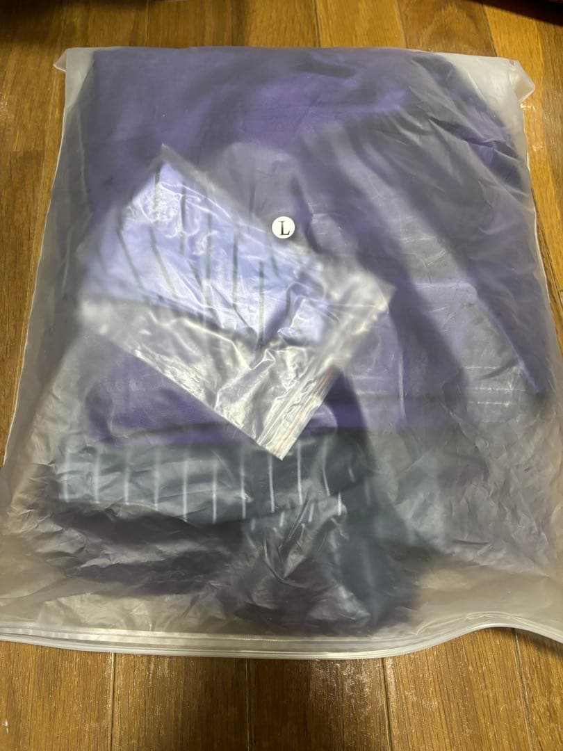 にじさんじ 不破湊 コスプレ ウィッグ付き