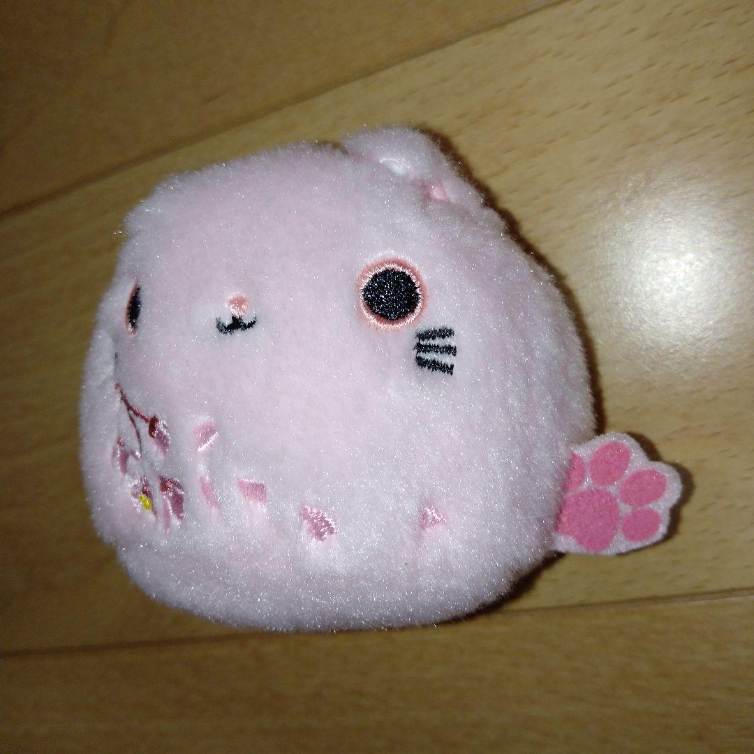 まろさくら入り　ねこだんご桜まとめ売り【４個】ねこだんご桜まつり