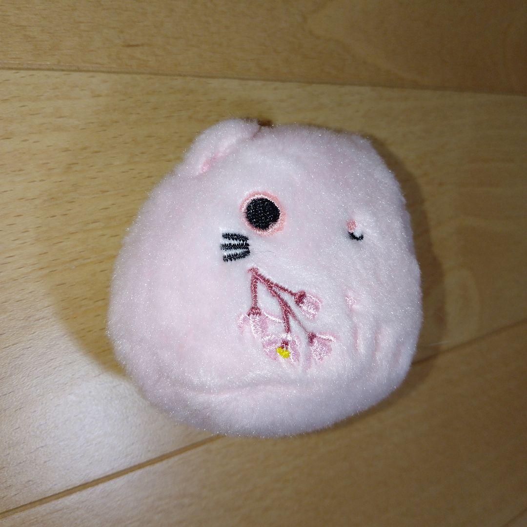 まろさくら入り　ねこだんご桜まとめ売り【４個】ねこだんご桜まつり