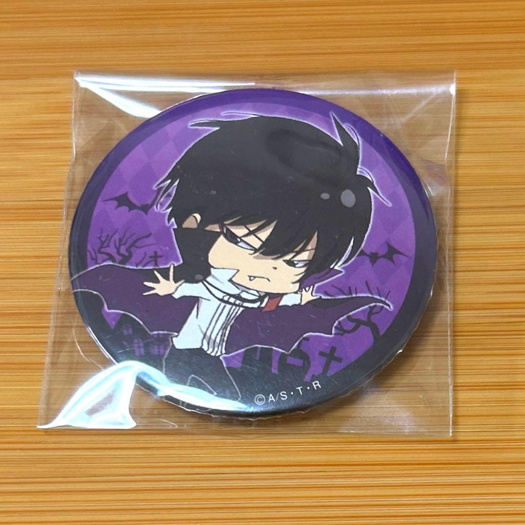 REBORN 雲雀恭弥 ヒバリン 怪物づかいツナ 缶バッジ